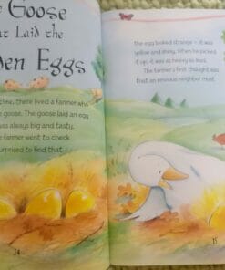 Aesop's Fables - The Goose That Laid The Golden Eggs And Other Aesop's Fables - Inside Page
