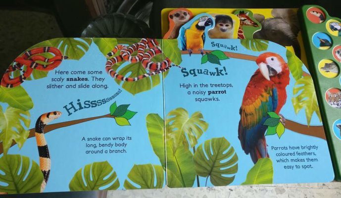 Roar at the Zoo – 10 animal Sounds book – – Booky Wooky