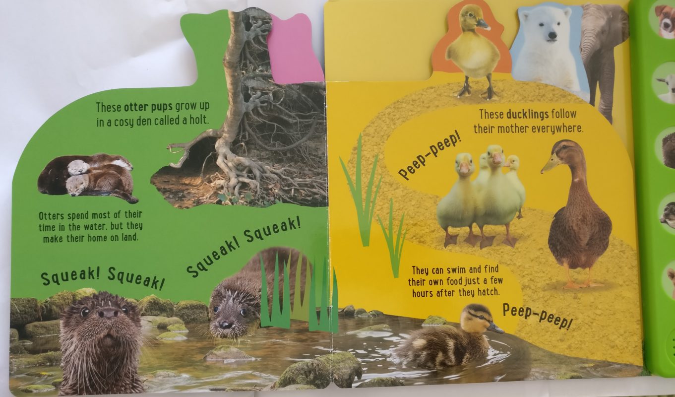 Noisy Baby Animals 10 animal Sounds book Booky Wooky
