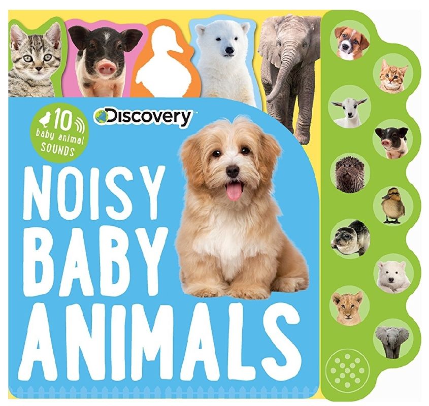 Noisy Baby Animals 10 animal Sounds book Booky Wooky