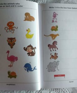 Preschool Success Skills - Sharp Kids Workbook - Level 1 - 3 years+ - InsidePage3