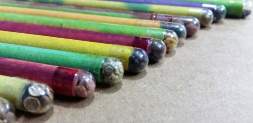 Eco friendly Seed Pencils Box of 12 HB pencils Seeds in capsules