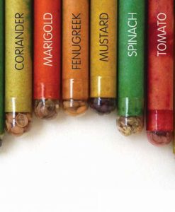 Eco-friendly Seed Pencils (Box of 12 HB pencils) - all seeds