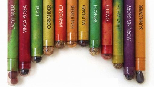Eco friendly Seed Pencils Box of 12 HB pencils all seeds