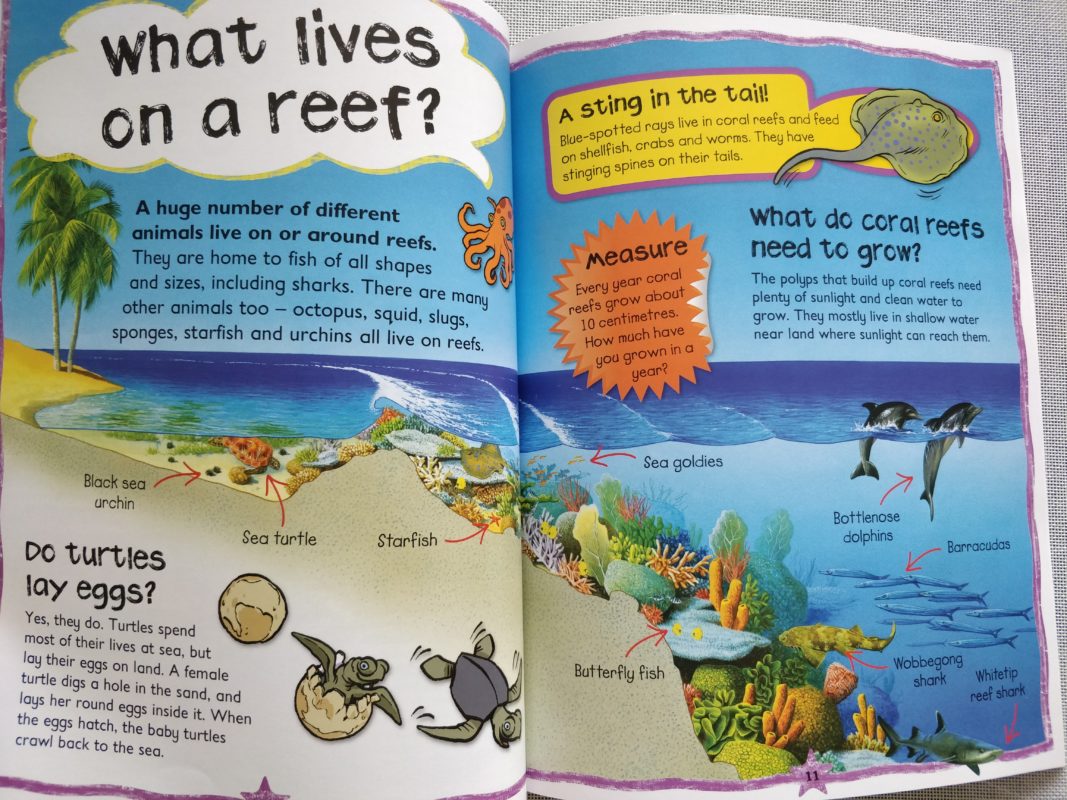 First Questions & Answers Coral Reefs Why are fish like lions
