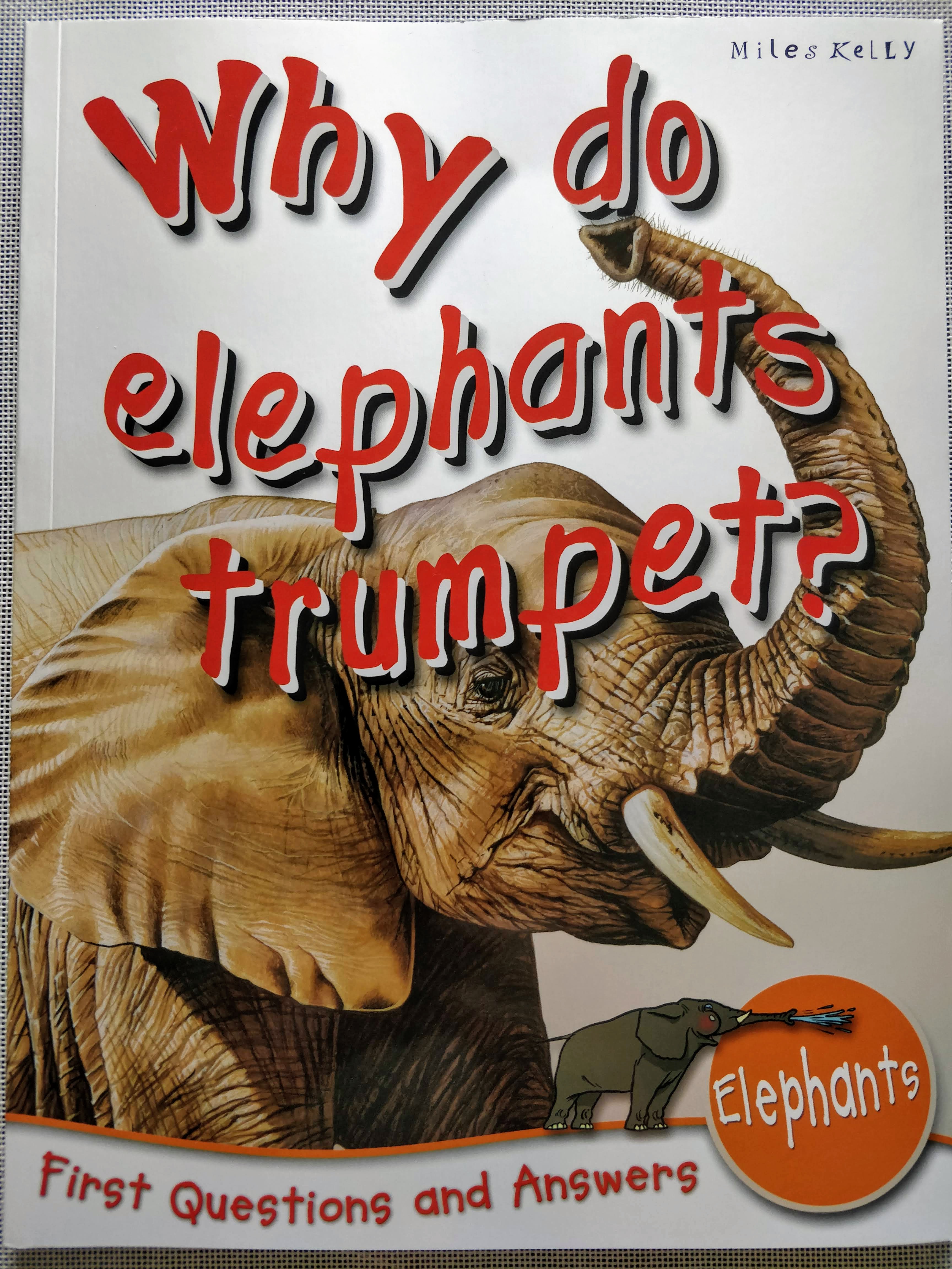 First Questions & Answers Elephants Why do Elephants Trumpet