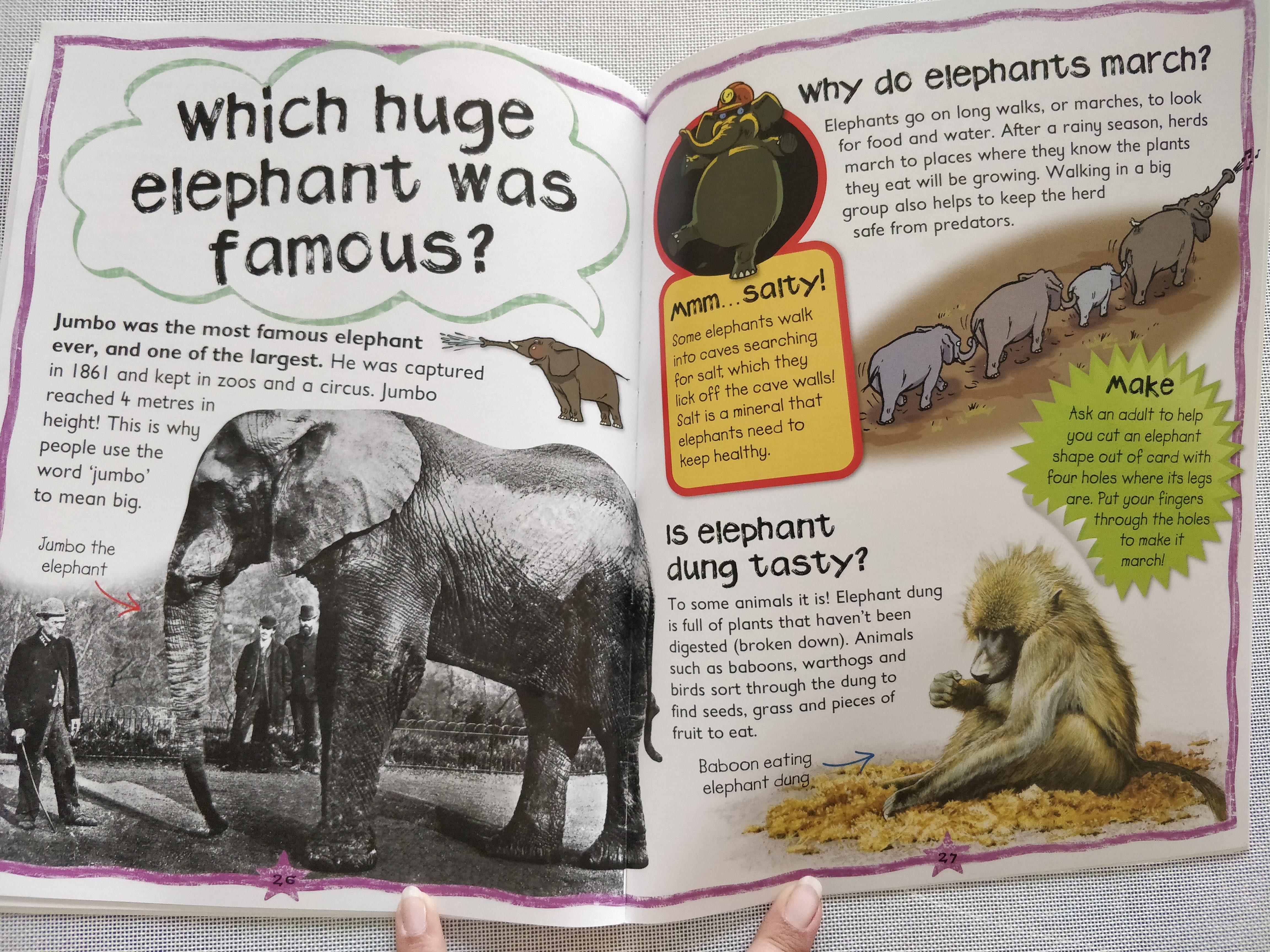 First Questions & Answers Elephants Why do Elephants Trumpet