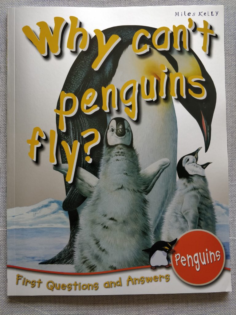 First Questions & Answers – Penguins – Why can’t Penguins fly
