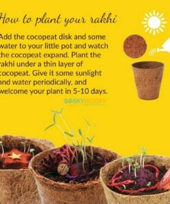 How to grow a plantable seed rakhi