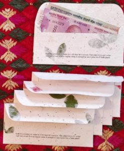 Seed Paper Gift Envelopes (Pack of 5)