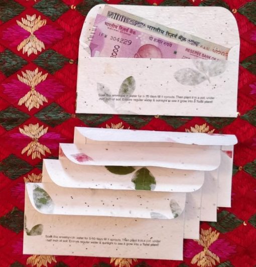 Seed Paper Gift Envelopes (Pack of 5)