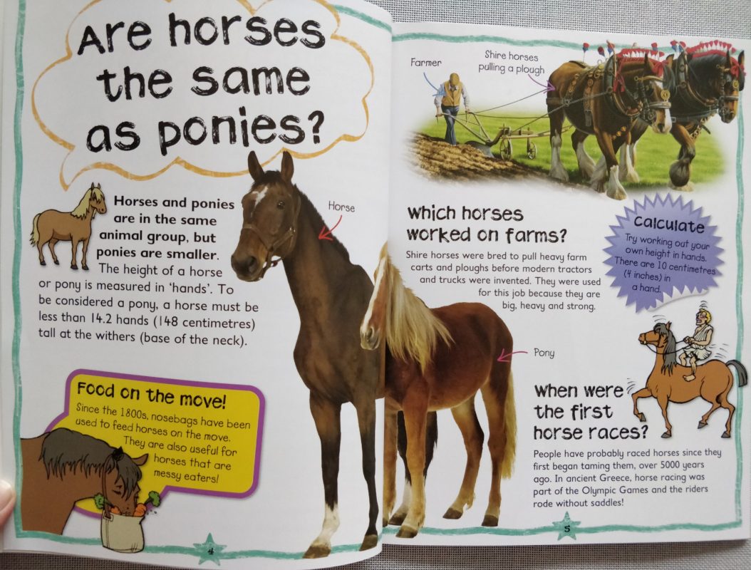First Questions & Answers Horses and Ponies Why do Horses wear