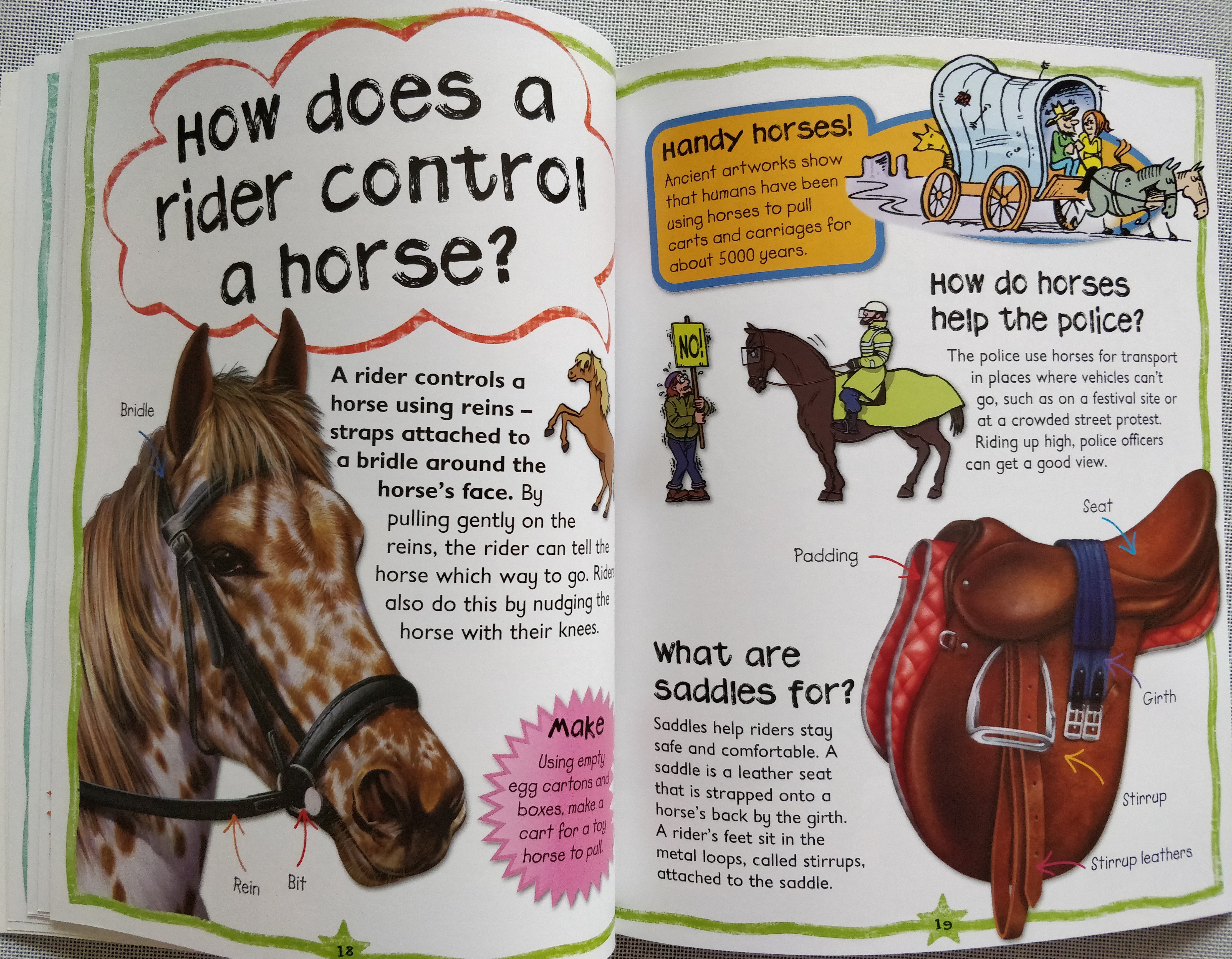 First Questions & Answers Horses and Ponies Why do Horses wear