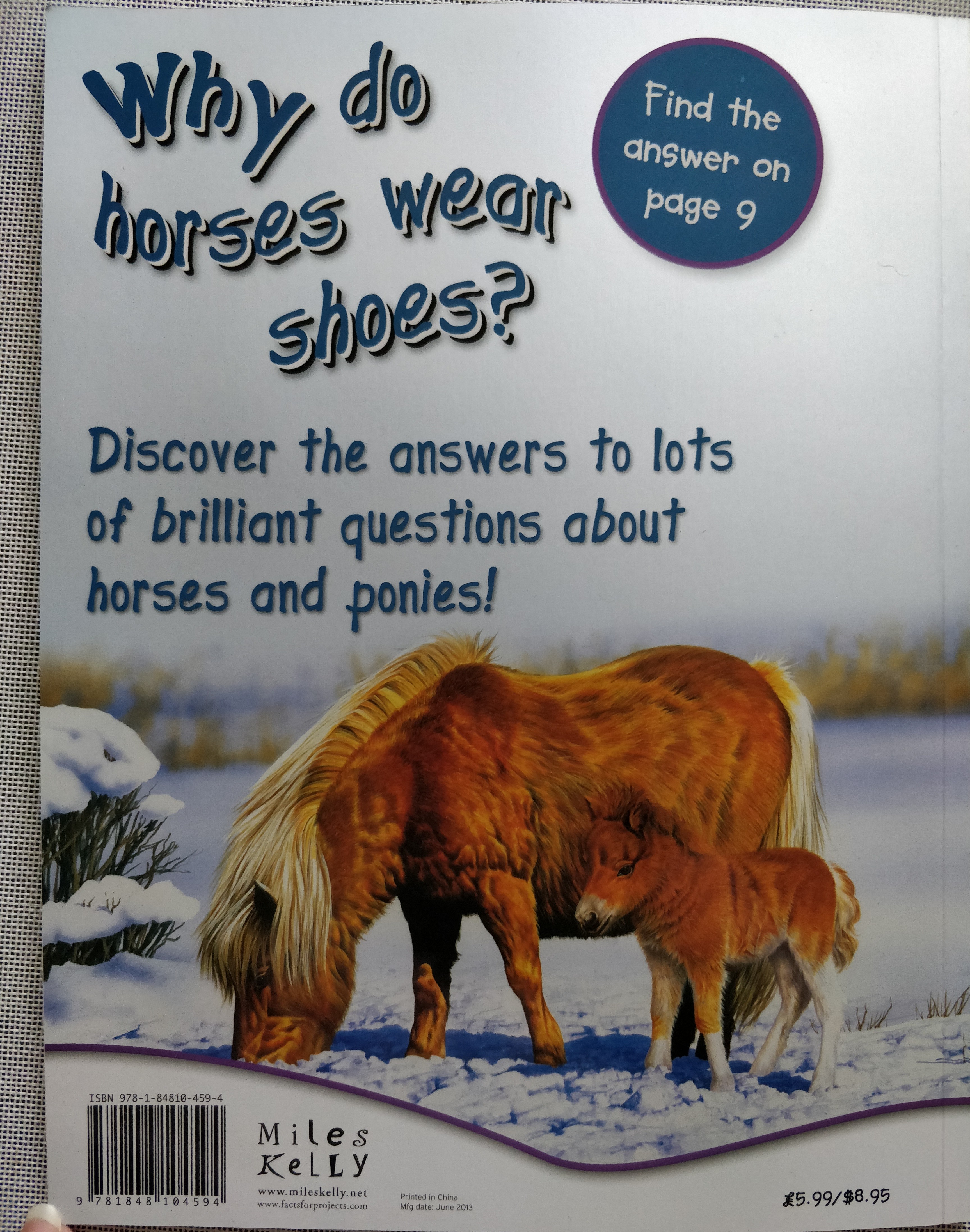 First Questions & Answers Horses and Ponies Why do Horses wear
