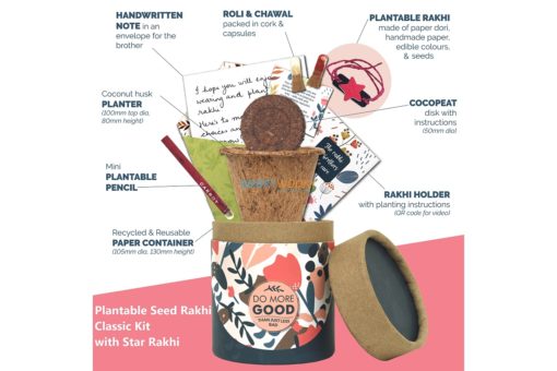 Plantable Seed Rakhi Classic Kit with Star Rakhi