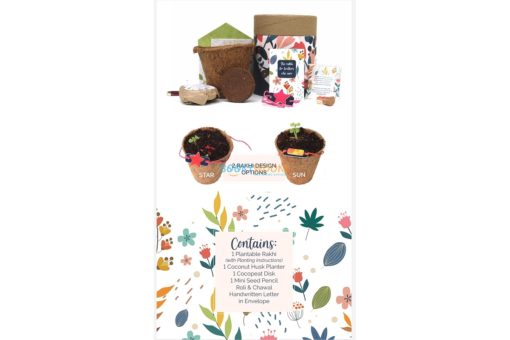 Plantable Seed Rakhi Classic Kit with contents