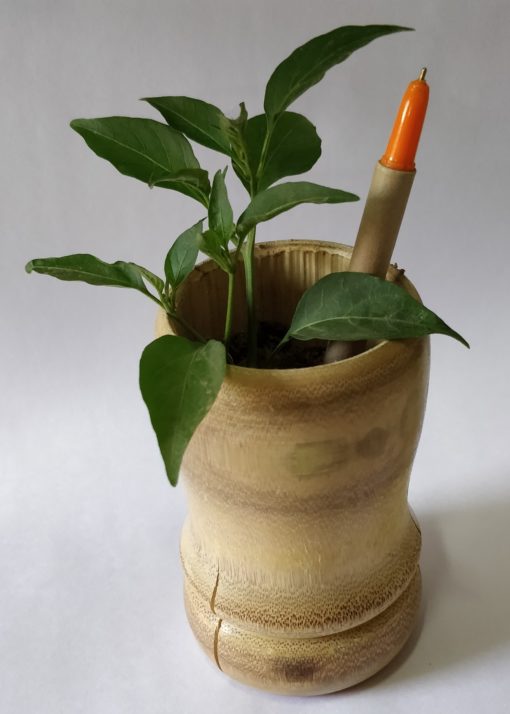 Plantable Seed Pens Box of 8 Planted in a pot