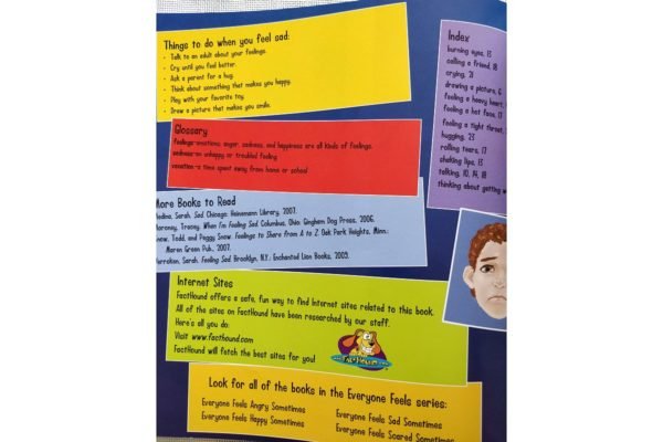 Everyone Feels Sad Sometimes – – Booky Wooky