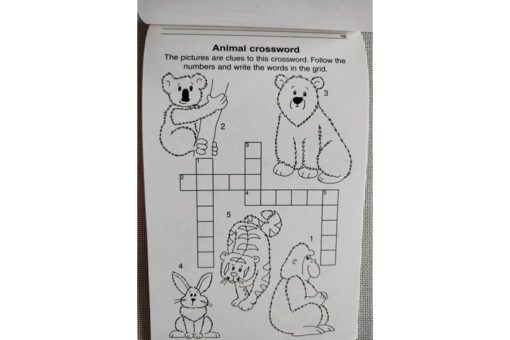 Action Fun Pads Animal Games