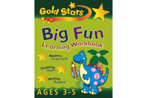 Big Fun Learning Workbook Ages 3-5