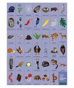 mudpuppy woodland forest search find puzzle 9780735355798 - field guide