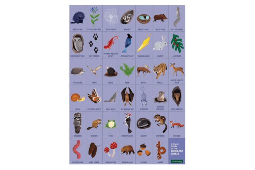 mudpuppy woodland forest search find puzzle 9780735355798 field guide