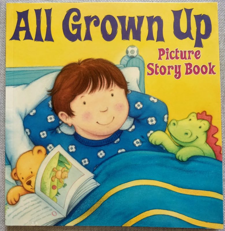 Picture Story Books – All Grown Up – – Booky Wooky