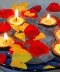Organic Diwali Diyas floating