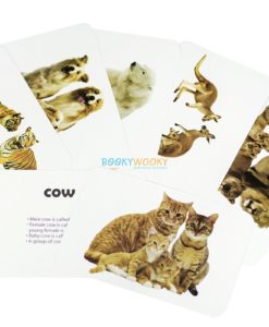 Animals & Their Babies Flashcards (2)
