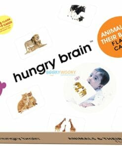 Animals & Their Babies Flashcards cover by Hungry Brain