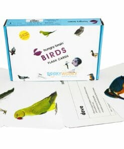 Birds Flashcards (1)