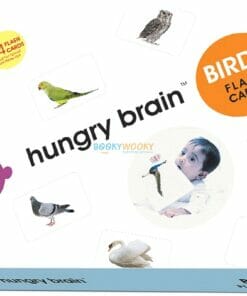 Birds Flashcards cover by Hungry Brain