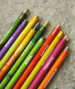 Eco-friendly Coloured Seed Pencils (Box of 10 coloured pencils) - 2 (2)