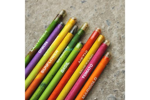 Eco friendly Coloured Seed Pencils Box of 10 coloured pencils 2 2
