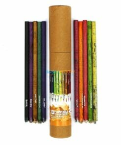 Eco-friendly Coloured Seed Pencils (Box of 10 coloured pencils) main