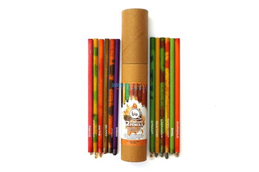 Eco-friendly Seed Pencils (Box of 12 HB pencils) main