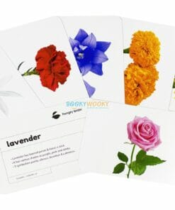 Flowers Flashcards (2)