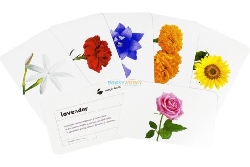 Flowers Flashcards 2
