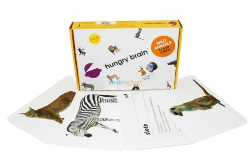 Wild Animals Flashcards (1)