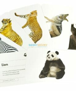 Wild Animals Flashcards (2)