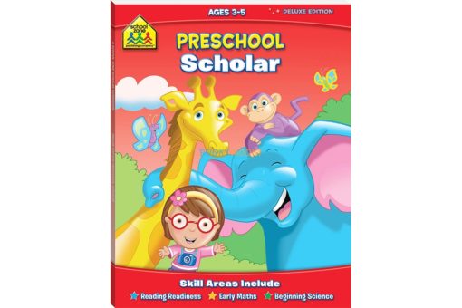 Preschool Scholar Workbook 9781741859133