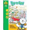 Try N Spy Activity Book 9781743637869