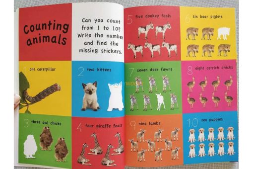 1001 Stickers Amazing Animals 3