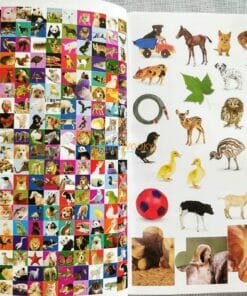 1001 Stickers Amazing Animals (5)