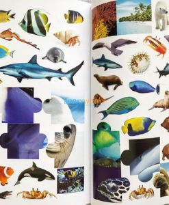1001 Stickers Amazing Animals (9)