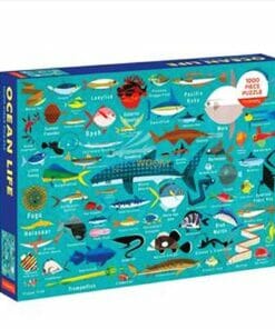 500 Piece Jigsaw Puzzle Ocean Life back cover