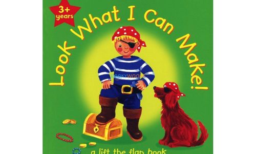 Look What I Can Make (Green) 9781845315375cover page
