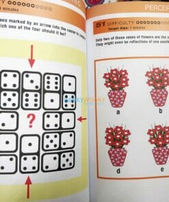 Mindworks Brain Training Perceptual Puzzles (4)