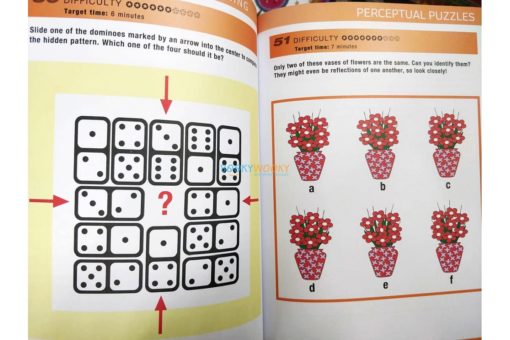 Mindworks Brain Training Perceptual Puzzles (4)
