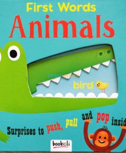 Push Pull and Pop Boardbooks (2 titles) - First Words Animals (1)